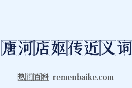 唐河店妪传近义词是什么意思的图片